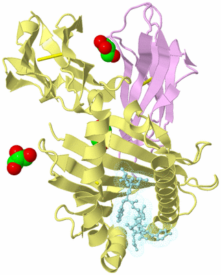 Image Biological Unit 2