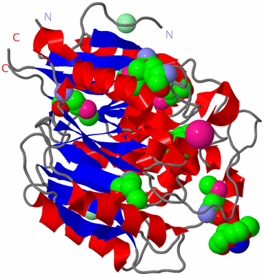 Image Asym./Biol. Unit