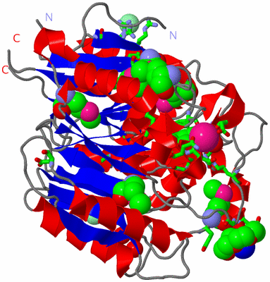 Image Asym./Biol. Unit - sites