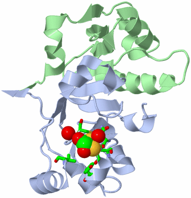 Image Asym./Biol. Unit - sites