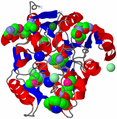 Image Asym./Biol. Unit