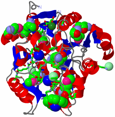 Image Asym./Biol. Unit - sites