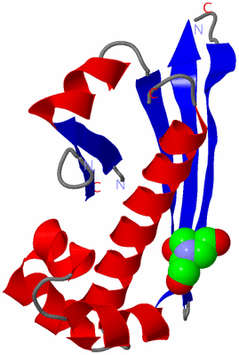 Image Asymmetric Unit