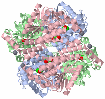 Image Biological Unit 1