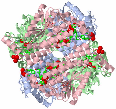 Image Biol. Unit 1 - sites