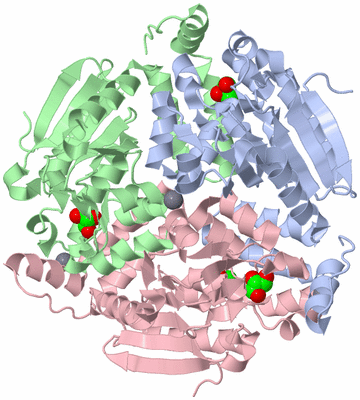 Image Biological Unit 2