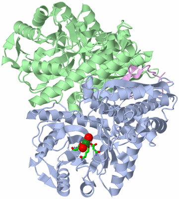 Image Biol. Unit 1 - sites