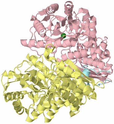 Image Biological Unit 2