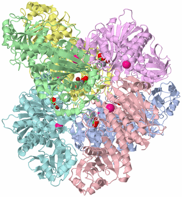 Image Asym./Biol. Unit