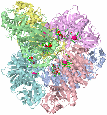 Image Asym./Biol. Unit - sites