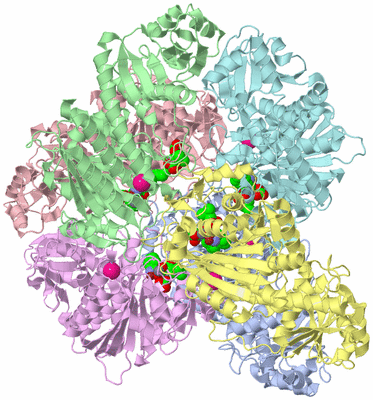 Image Asym./Biol. Unit