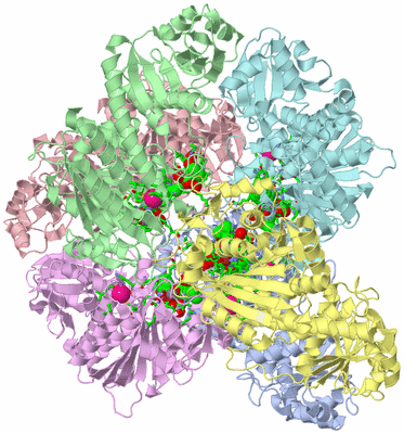 Image Asym./Biol. Unit - sites