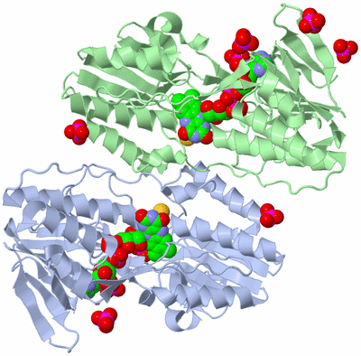 Image Asym./Biol. Unit