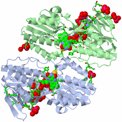 Image Asym./Biol. Unit - sites