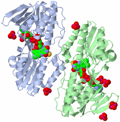 Image Asym./Biol. Unit