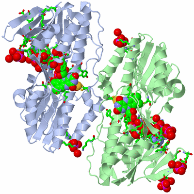 Image Asym./Biol. Unit - sites