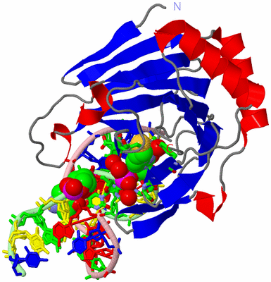 Image Asym./Biol. Unit - sites