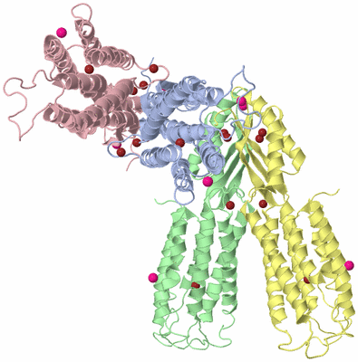 Image Asymmetric Unit