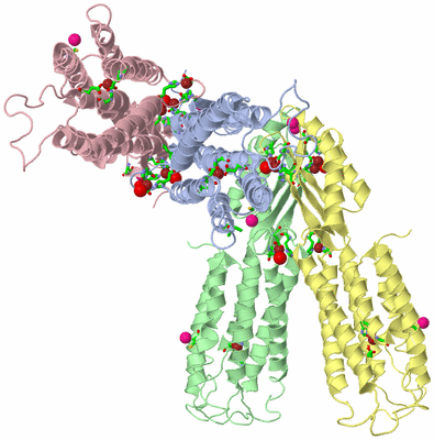 Image Asym. Unit - sites