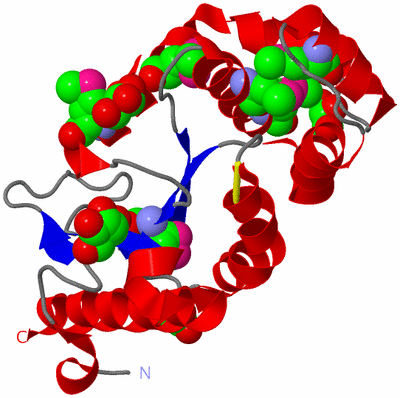 Image Asym./Biol. Unit