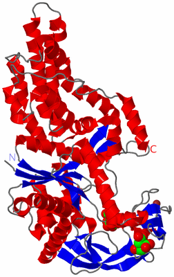 Image Asym./Biol. Unit