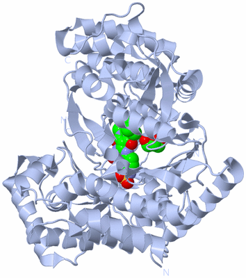 Image Biological Unit 1