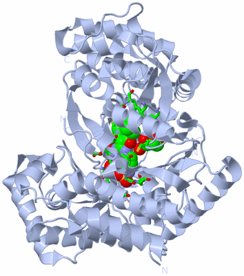 Image Biol. Unit 1 - sites