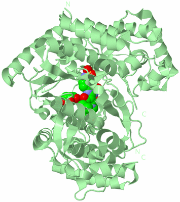 Image Biological Unit 2