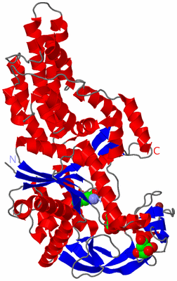 Image Asym./Biol. Unit