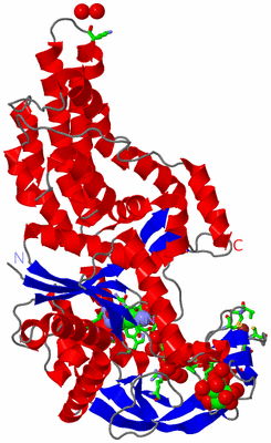 Image Asym./Biol. Unit - sites