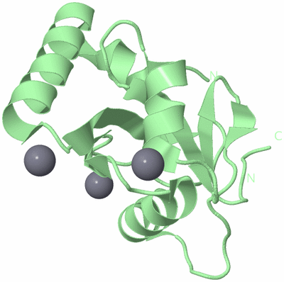 Image Biological Unit 3