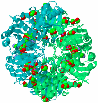 Image Biological Unit 1