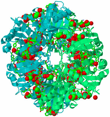 Image Biol. Unit 1 - sites