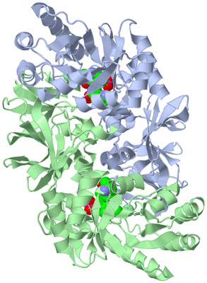 Image Asym./Biol. Unit