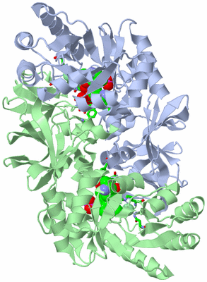 Image Asym./Biol. Unit - sites