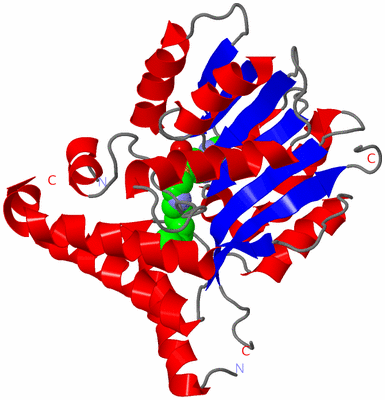 Image Asym./Biol. Unit