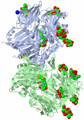 Image Asym./Biol. Unit