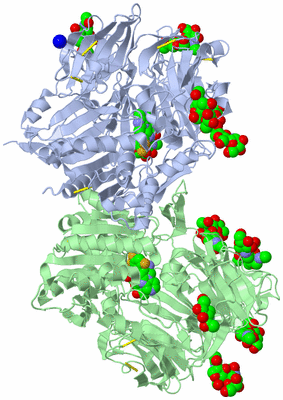 Image Asym./Biol. Unit