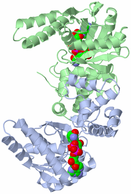 Image Asym./Biol. Unit