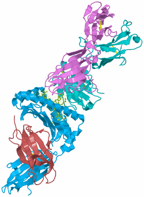 Image Biological Unit 3