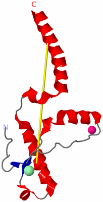 Image Asymmetric Unit