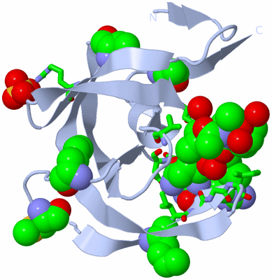 Image Biol. Unit 1 - sites