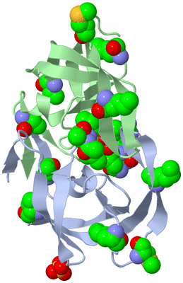 Image Biological Unit 3