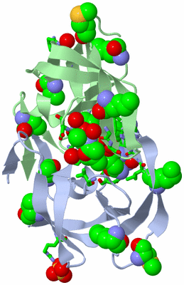 Image Asym. Unit - sites