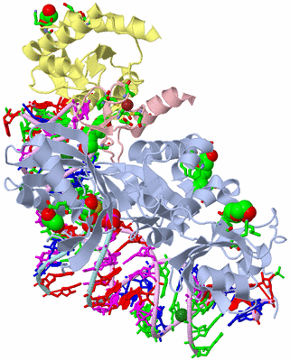 Image Asym./Biol. Unit - sites