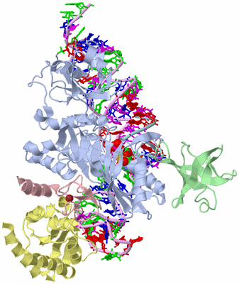 Image Asym./Biol. Unit