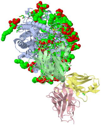 Image Asym./Biol. Unit - sites