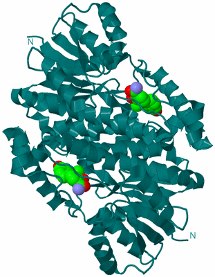 Image Biological Unit 1