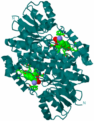 Image Biol. Unit 1 - sites