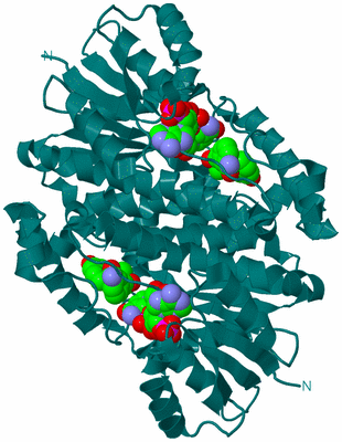 Image Biological Unit 1